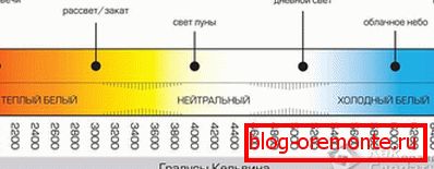 Виды лампочек и типы цоколей